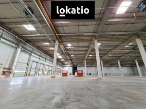 Pronájem skladu, Kadaň, Královský Vrch, 4000 m2