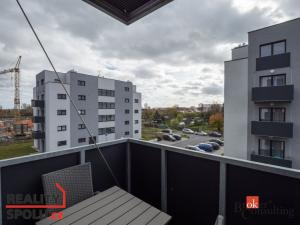 Pronájem bytu 1+kk, Heřmanova Huť - Vlkýš, U Pondu, 42 m2