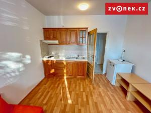 Pronájem bytu 1+kk, Zlín, Větrná, 27 m2