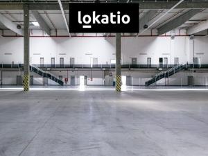 Pronájem skladu, Bor, 3500 m2