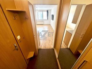 Pronájem bytu 1+kk, Orlová - Lutyně, F. S. Tůmy, 32 m2