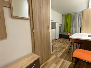 Pronájem bytu 1+kk, Praha - Háje, Hviezdoslavova, 20 m2