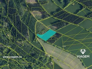 Prodej podílu lesa, Jestřabí v Krkonoších, 790 m2