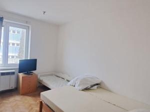 Pronájem bytu 2+1, Jihlava, Evžena Rošického, 58 m2
