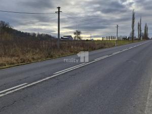 Prodej pozemku pro bydlení, Kynšperk nad Ohří - Zlatá, 2983 m2