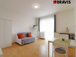 Pronájem bytu 1+kk, Brno - Zábrdovice, Cejl, 26 m2