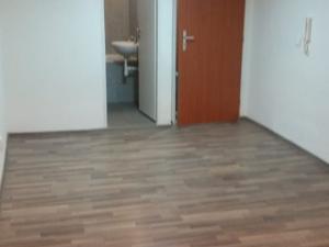 Pronájem bytu 1+kk, Praha - Vysočany, Freyova, 24 m2