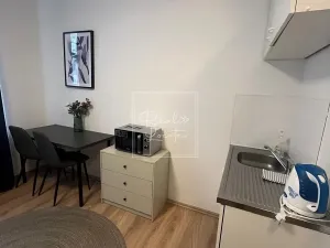 Pronájem bytu 1+kk, Praha - Smíchov, Na bělidle, 18 m2