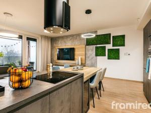 Prodej bytu 3+kk, Brno - Husovice, Provazníkova, 92 m2