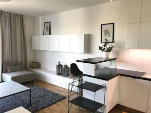 Pronájem bytu 2+kk, Praha - Holešovice, Sanderova, 58 m2