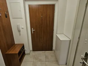 Pronájem bytu 1+kk, Praha - Vinohrady, Šafaříkova, 39 m2