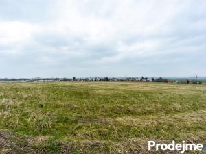 Prodej pozemku pro bydlení, Přišimasy, 1007 m2