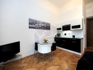 Pronájem bytu 1+kk, Praha - Josefov, Široká, 28 m2