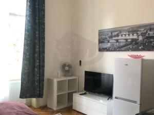 Pronájem bytu 1+kk, Praha - Josefov, Široká, 28 m2