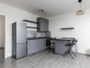 Pronájem bytu 1+kk, Praha - Žižkov, Olgy Havlové, 37 m2