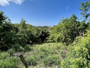 Prodej pozemku, Punta Gorda, José Santos Guardiola, Honduras, 716 m2