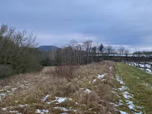 Prodej domu, Březovice, 250 m2