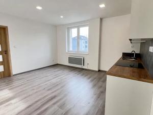 Pronájem bytu 2+kk, Ostrava, Šenovská, 44 m2