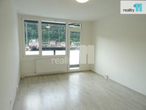 Pronájem bytu 1+kk, Děčín - Děčín I-Děčín, Karla Čapka, 30 m2