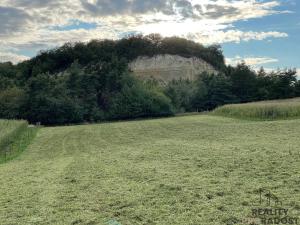 Prodej pozemku pro bydlení, Obora, 25976 m2