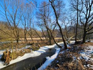 Prodej rodinného domu, Chyňava - Podkozí, 276 m2