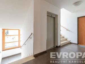 Pronájem bytu 1+kk, Praha - Hloubětín, Nehvizdská, 47 m2