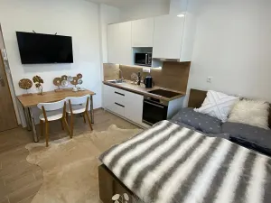 Pronájem bytu 1+kk, Zlín, Štefánikova, 30 m2