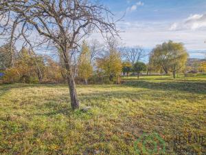 Prodej pozemku pro bydlení, Stará Červená Voda - Nová Červená Voda, 452 m2