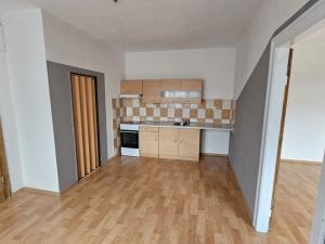 Pronájem bytu 2+kk, Teplice - Trnovany, 52 m2