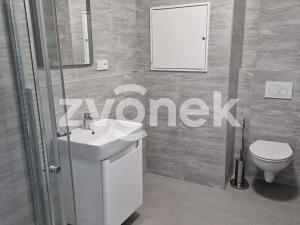 Pronájem bytu 1+kk, Uherské Hradiště, 35 m2