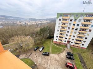 Prodej bytu 1+kk, Ústí nad Labem - Krásné Březno, Neštěmická, 32 m2