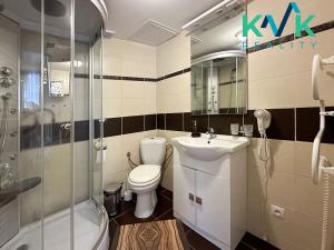 Pronájem bytu 1+kk, Karlovy Vary, Kolmá, 30 m2