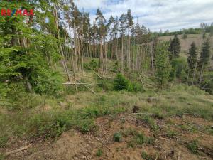 Prodej lesa, Číměř, 1493 m2