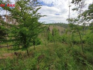 Prodej lesa, Číměř, 1493 m2