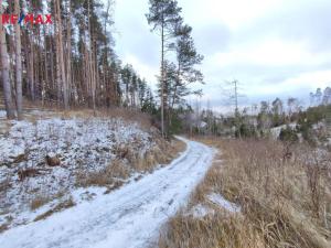 Prodej lesa, Číměř, 17109 m2