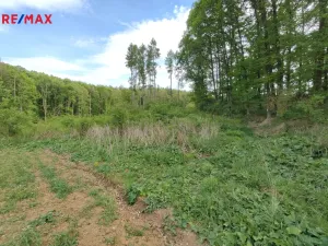 Prodej lesa, Číměř, 17681 m2