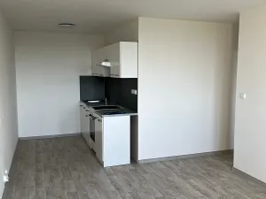 Pronájem bytu 2+kk, Litvínov, Kopistská, 40 m2