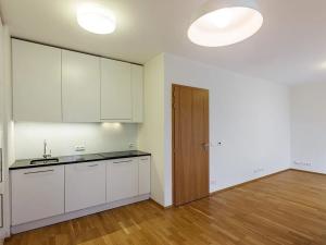 Pronájem bytu 1+kk, Praha - Podolí, Nad cihelnou, 37 m2