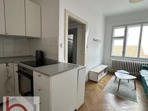 Pronájem bytu 1+1, České Budějovice, Lidická tř., 48 m2