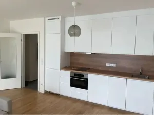 Pronájem bytu 1+kk, Praha - Žižkov, Seifertova, 40 m2