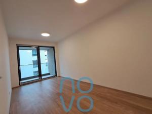 Pronájem bytu 2+kk, Praha - Žižkov, Tetauerova, 61 m2