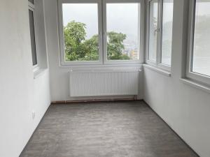 Pronájem bytu 1+kk, Ústí nad Labem - Střekov, Žukovova, 42 m2