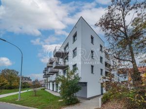 Prodej bytu 1+kk, Praha - Hloubětín, Kbelská, 34 m2