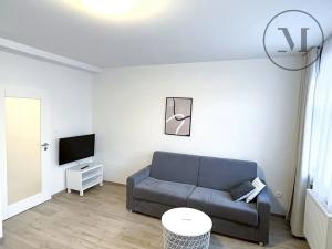 Pronájem bytu 2+kk, České Budějovice, K. Weise, 42 m2