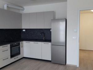 Pronájem bytu 1+kk, Brno - Horní Heršpice, Jižní, 42 m2