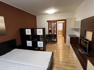 Pronájem bytu 1+1, Zlín, Větrná, 34 m2