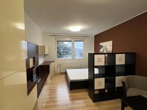 Pronájem bytu 1+1, Zlín, Větrná, 34 m2