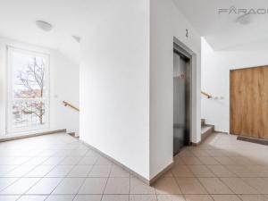 Pronájem bytu 2+kk, Praha - Strašnice, Na palouku, 67 m2