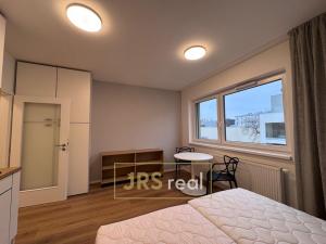 Pronájem bytu 1+kk, Brno, Cejl, 28 m2