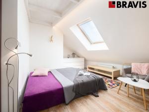 Pronájem bytu 2+kk, Brno - Brno-město, Kobližná, 50 m2